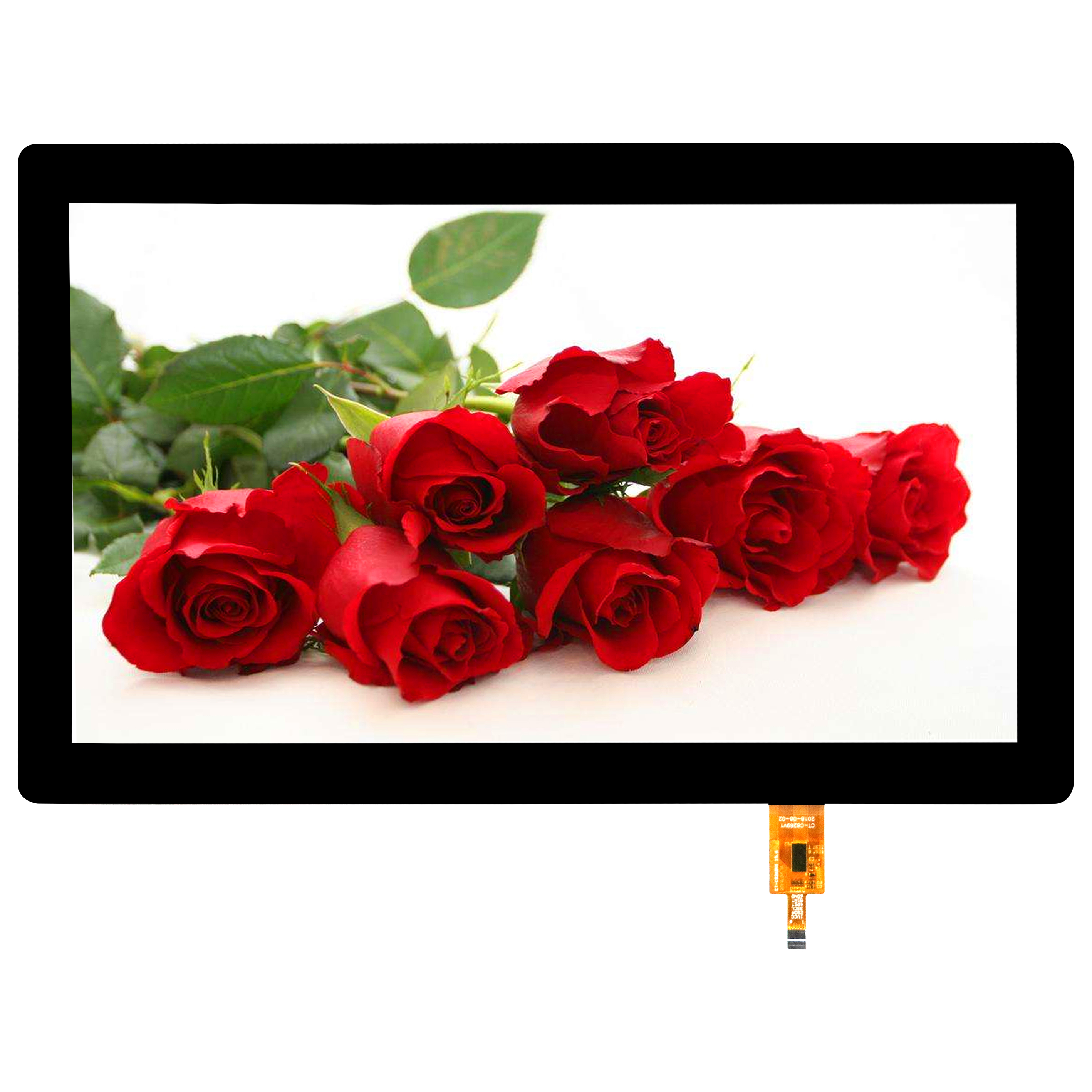 凯时KB88·(中国区)官方网站