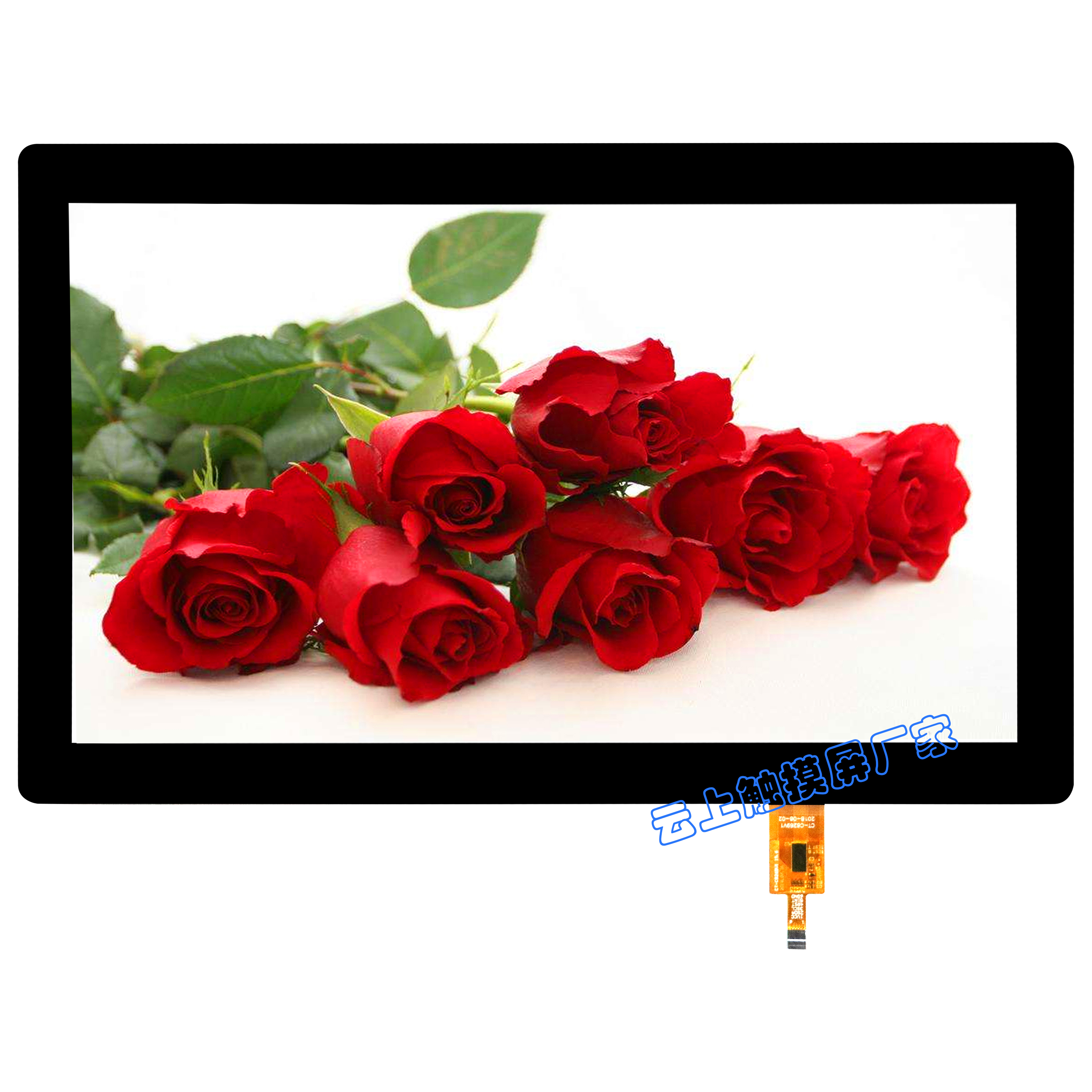 凯时KB88·(中国区)官方网站